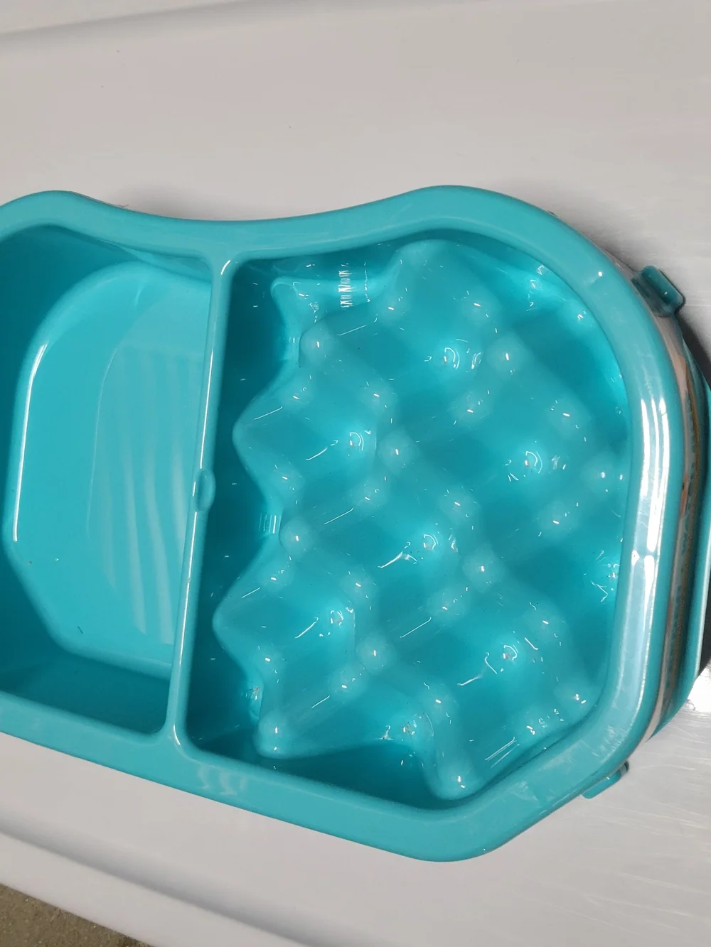 Slow Feeder + Water Bowl in Turquoise